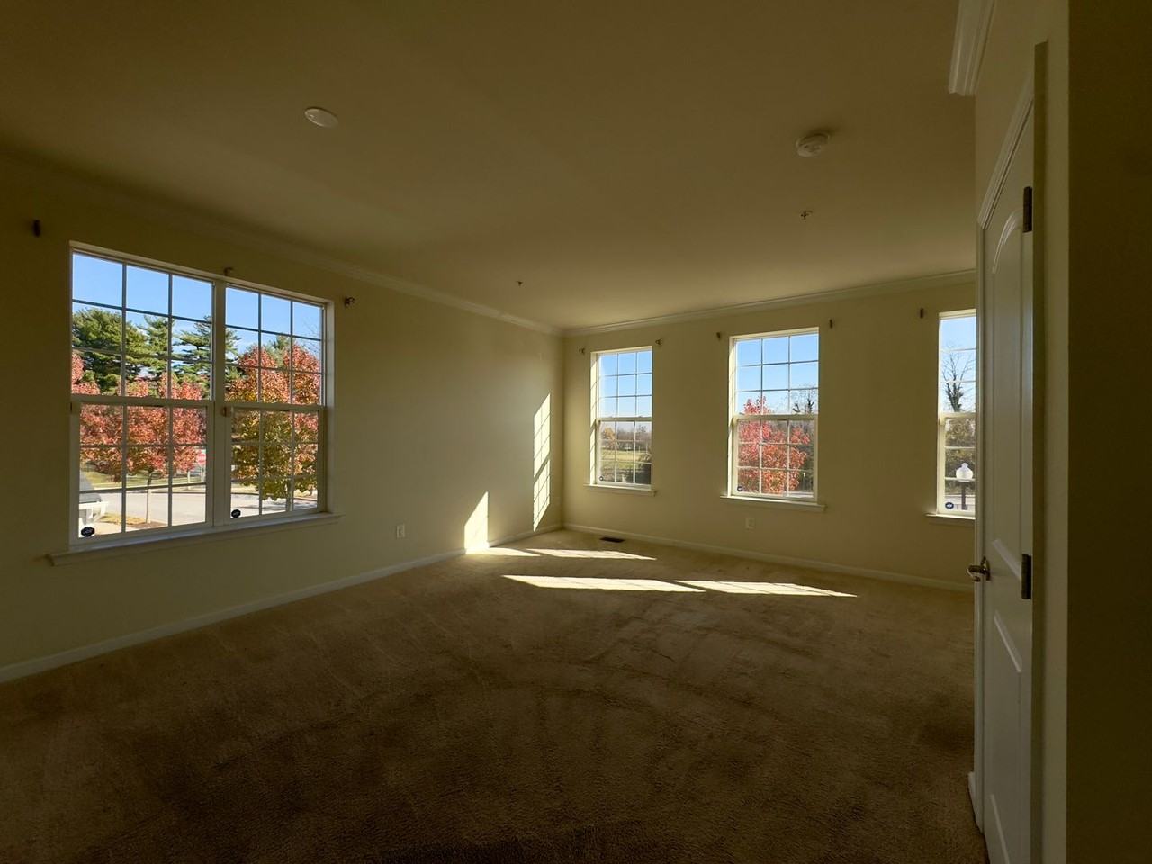 322 Camillia Pl - Photo 2 of 29