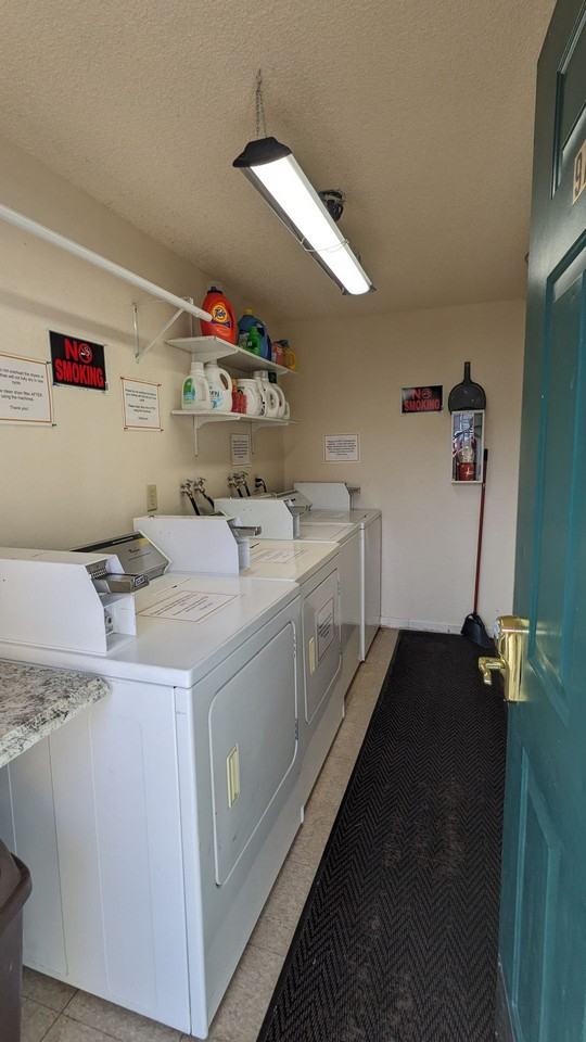 Chelsea Manor - Photo 5 of 50