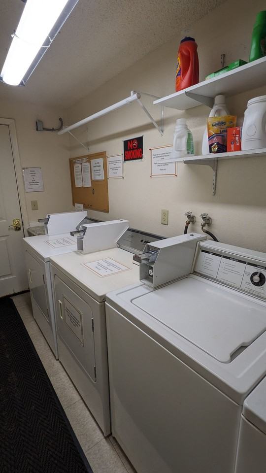 Chelsea Manor - Photo 6 of 50