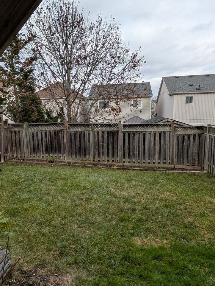 1119 Tall Pine Avenue - Photo 3 of 10