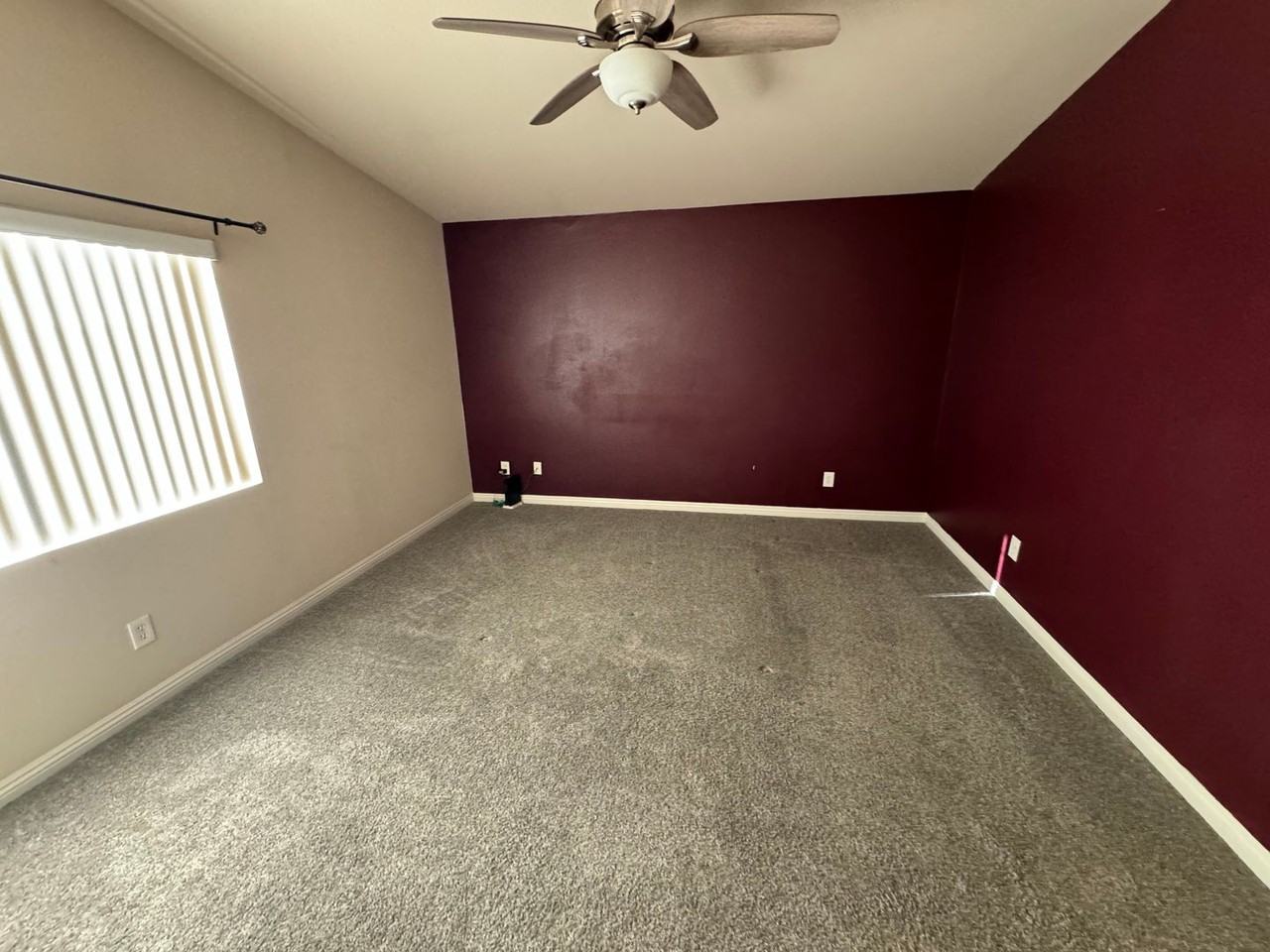 6740 Lavender Lilly Ln - Photo 5 of 25
