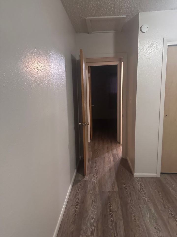 527 Jensen St - Photo 7 of 16
