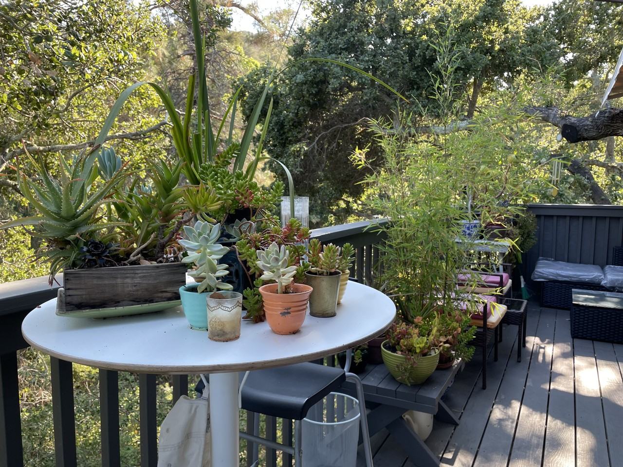 345 Devonshire Blvd #NA - Photo 2 of 12