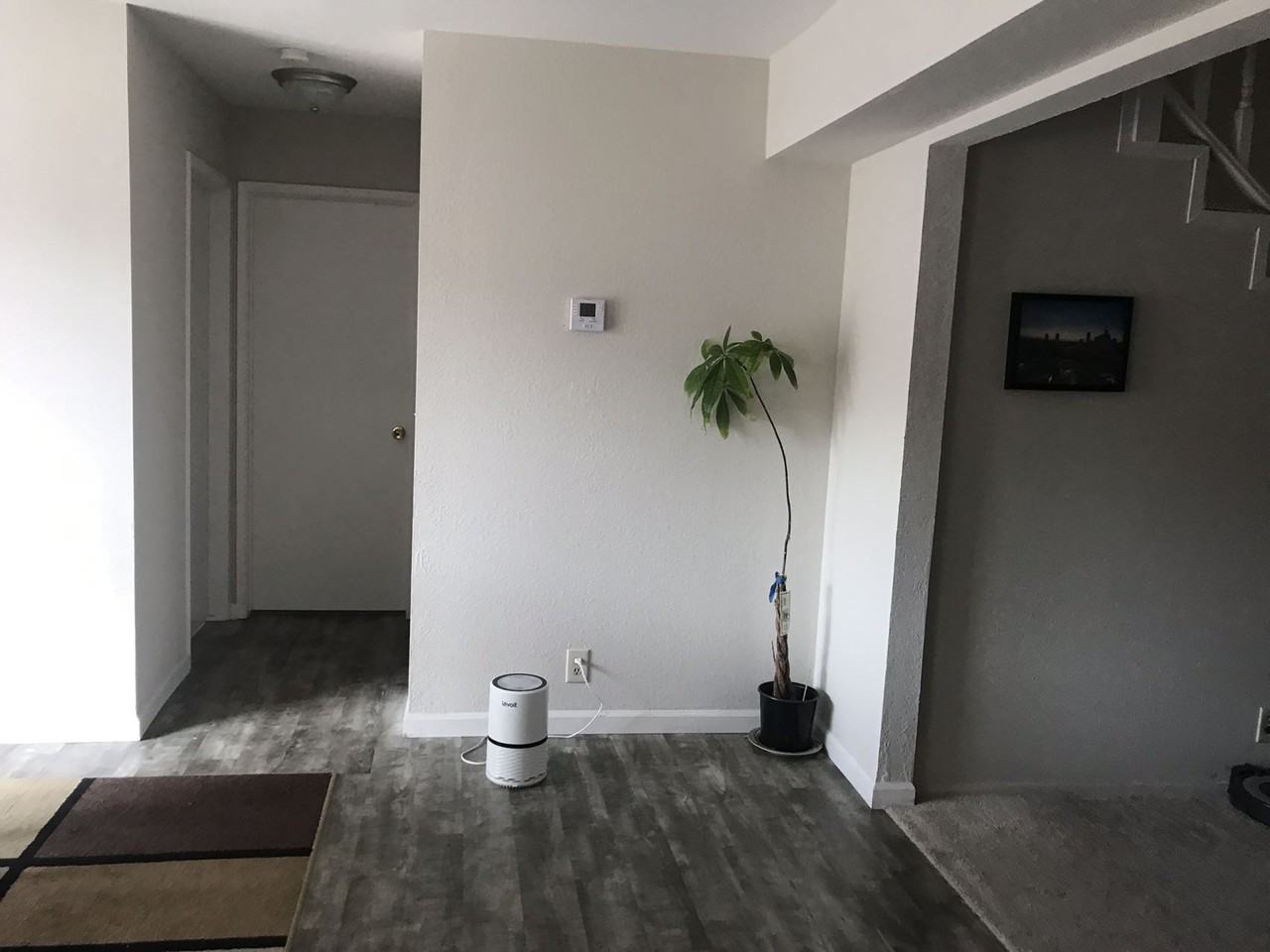 478 Nightingale St #NA - Photo 6 of 19