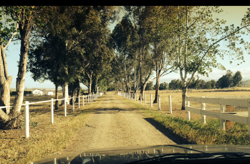 13755 E Herndon Ave - Photo 3 of 19