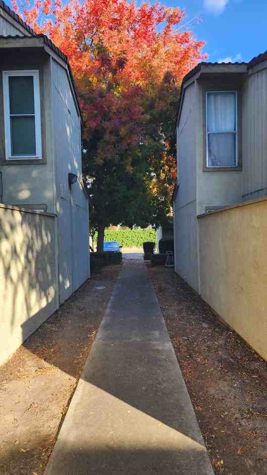 2116 Mount Vernon Dr #D - Photo 7 of 10