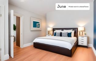 featured image of 186 Kelton Street #E