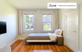 featured image of 17 Michigan Ave #D