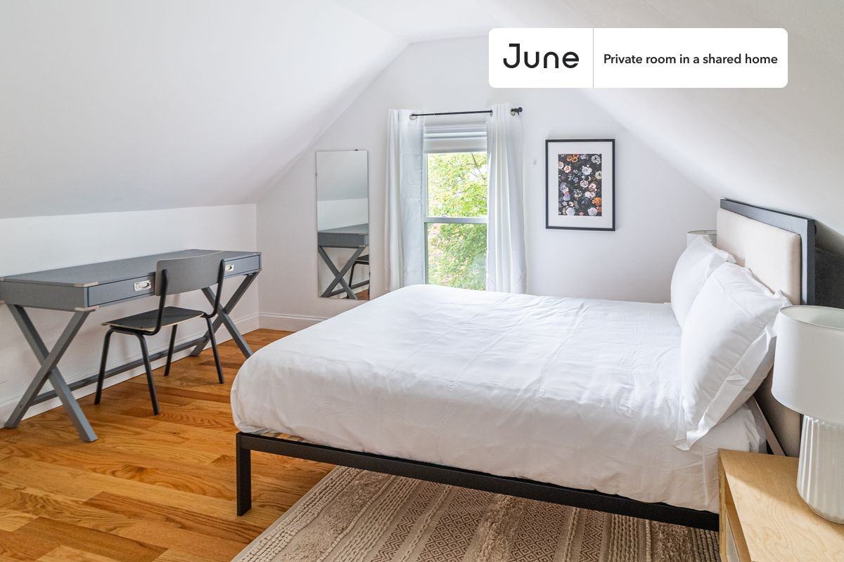29 Alston St #D - Photo 2 of 19