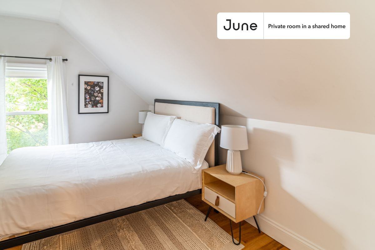 29 Alston St #D - Photo 6 of 19