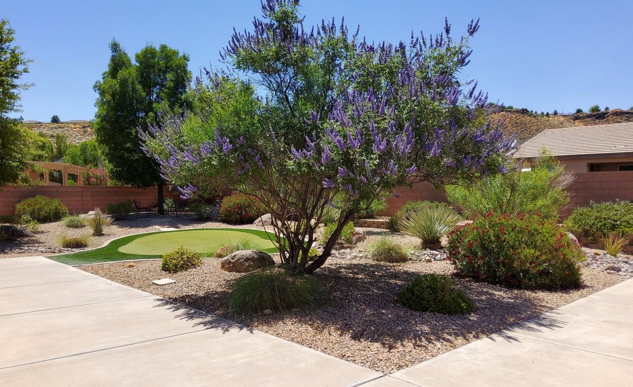 1263 N Spring Valley Dr #NA - Photo 5 of 18