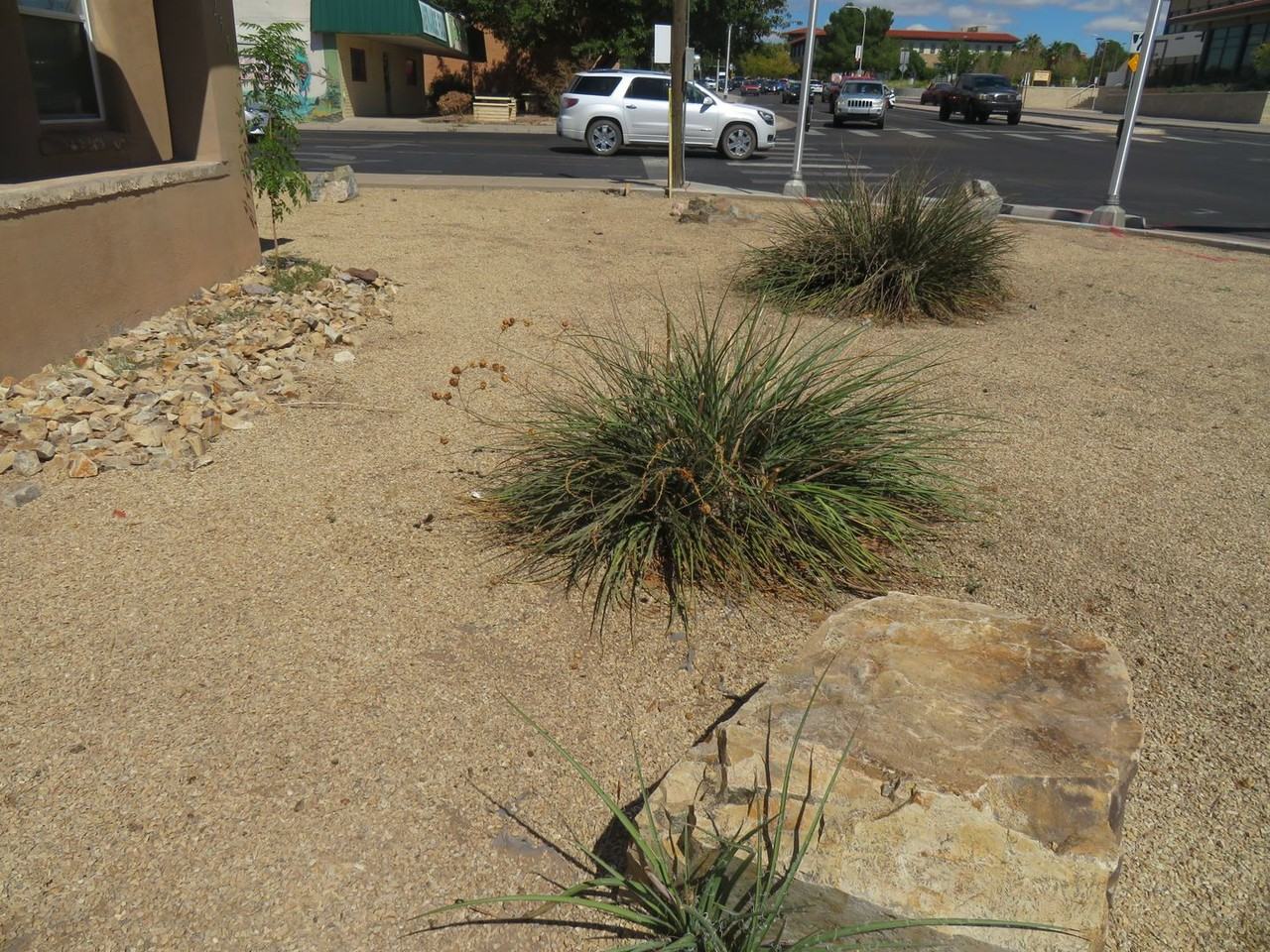 1255 E University Ave - Photo 2 of 13