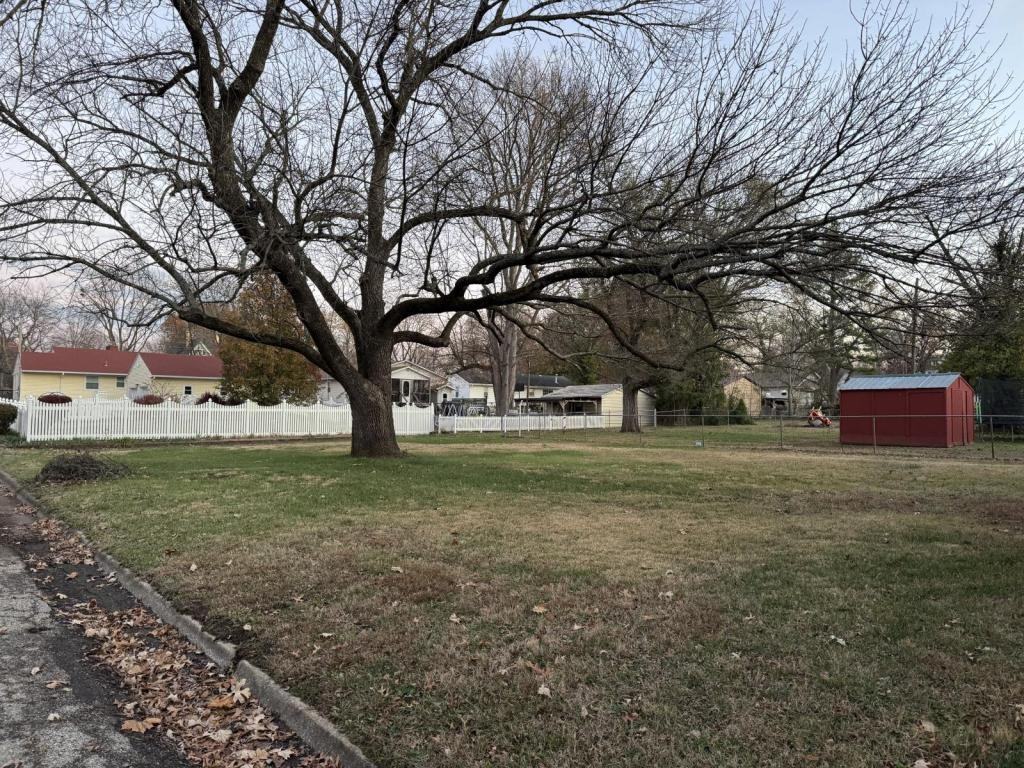 1136 S Cedar St - Photo 3 of 8