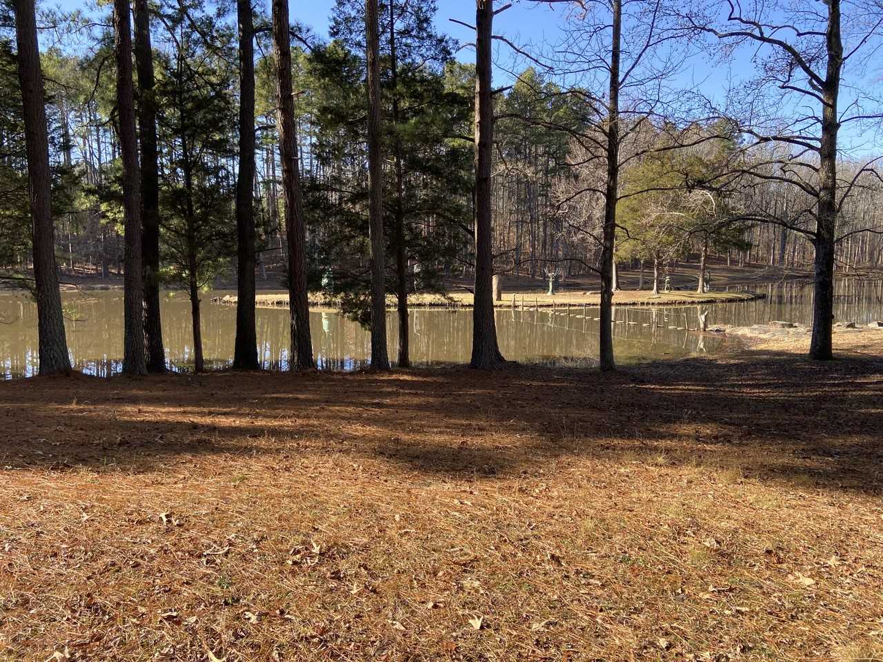 1020 1020 #NA - Photo 3 of 6