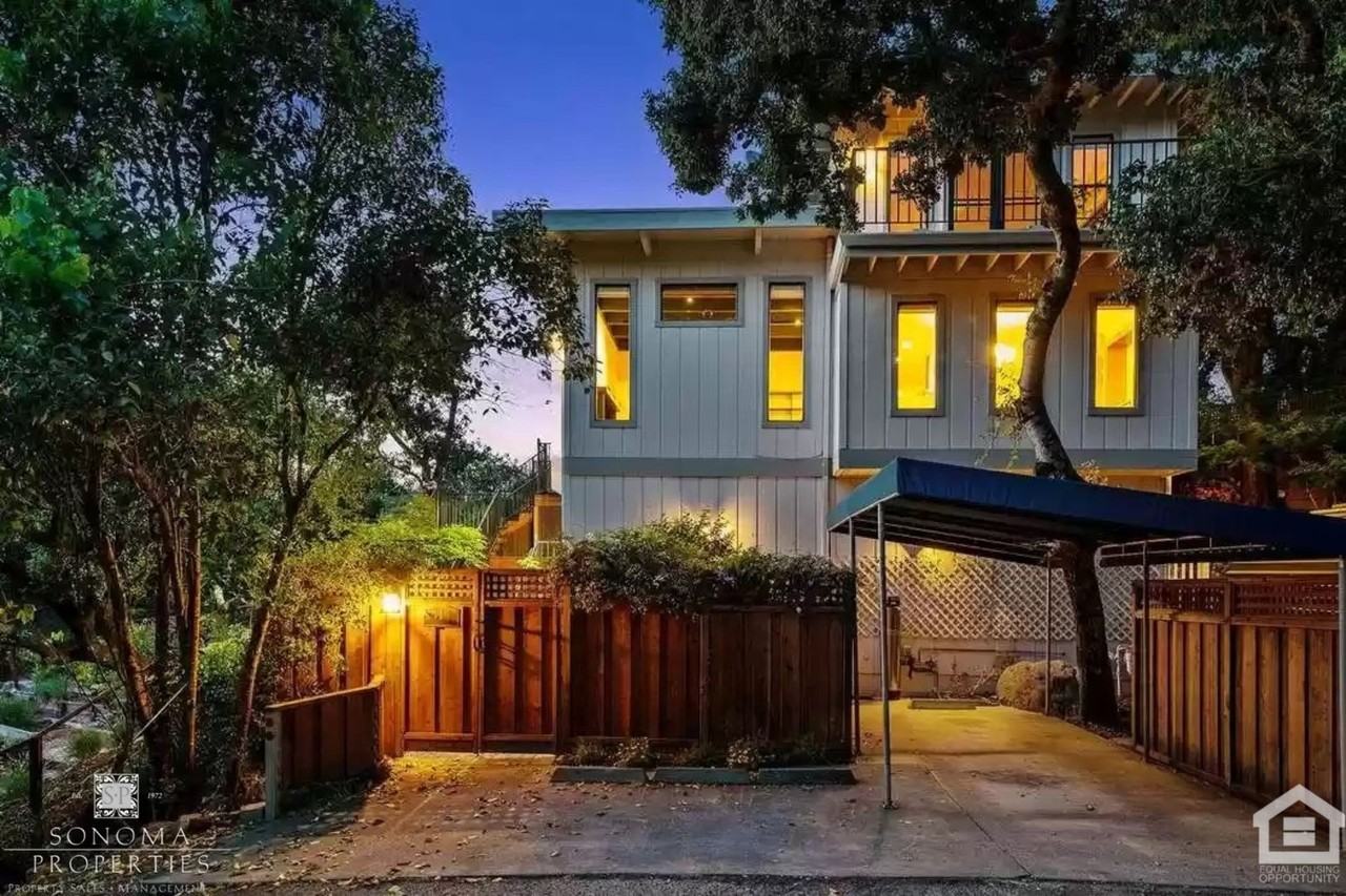 411 Chestnut Ave - Photo 4 of 28