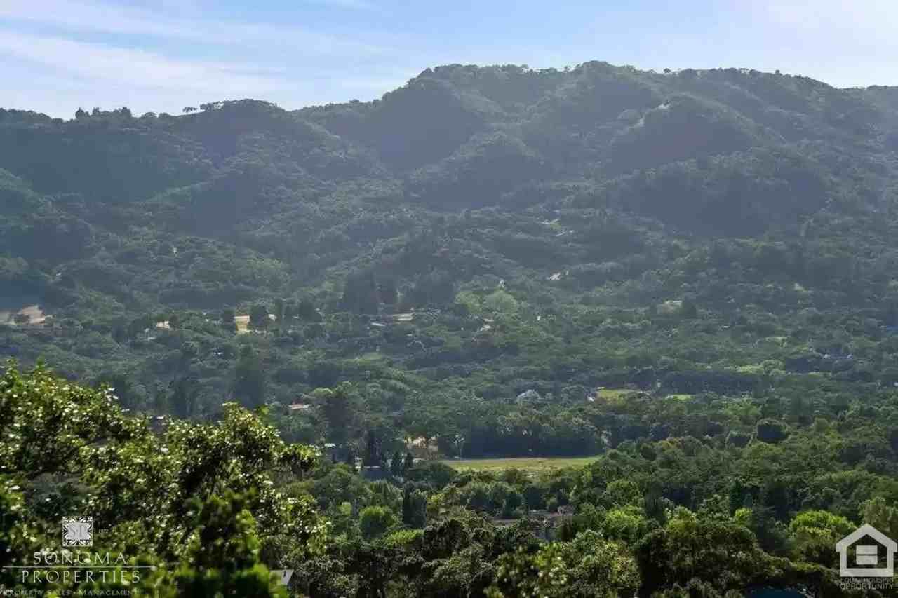 411 Chestnut Ave - Photo 5 of 28