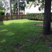 223 Mahaffey Ct - Photo 3 of 25