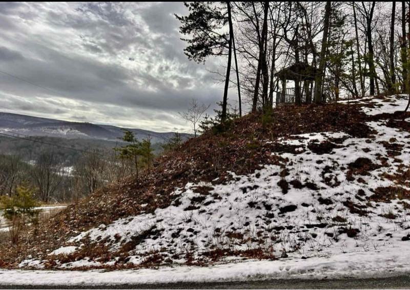 121 Potato Ridge Rd - Photo 3 of 25