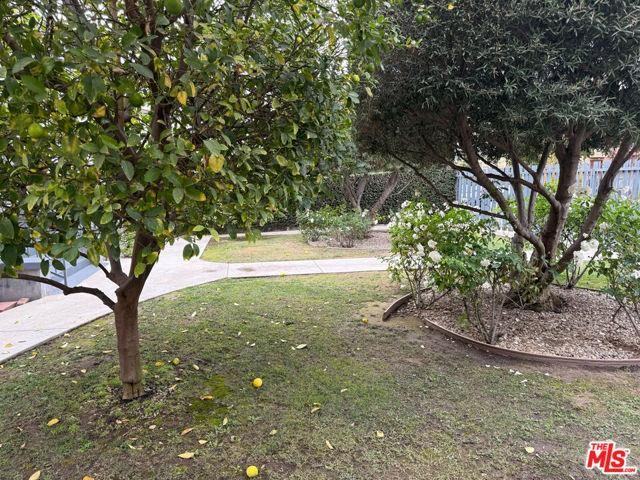 5312 Lexington Ave #3 - Photo 3 of 8