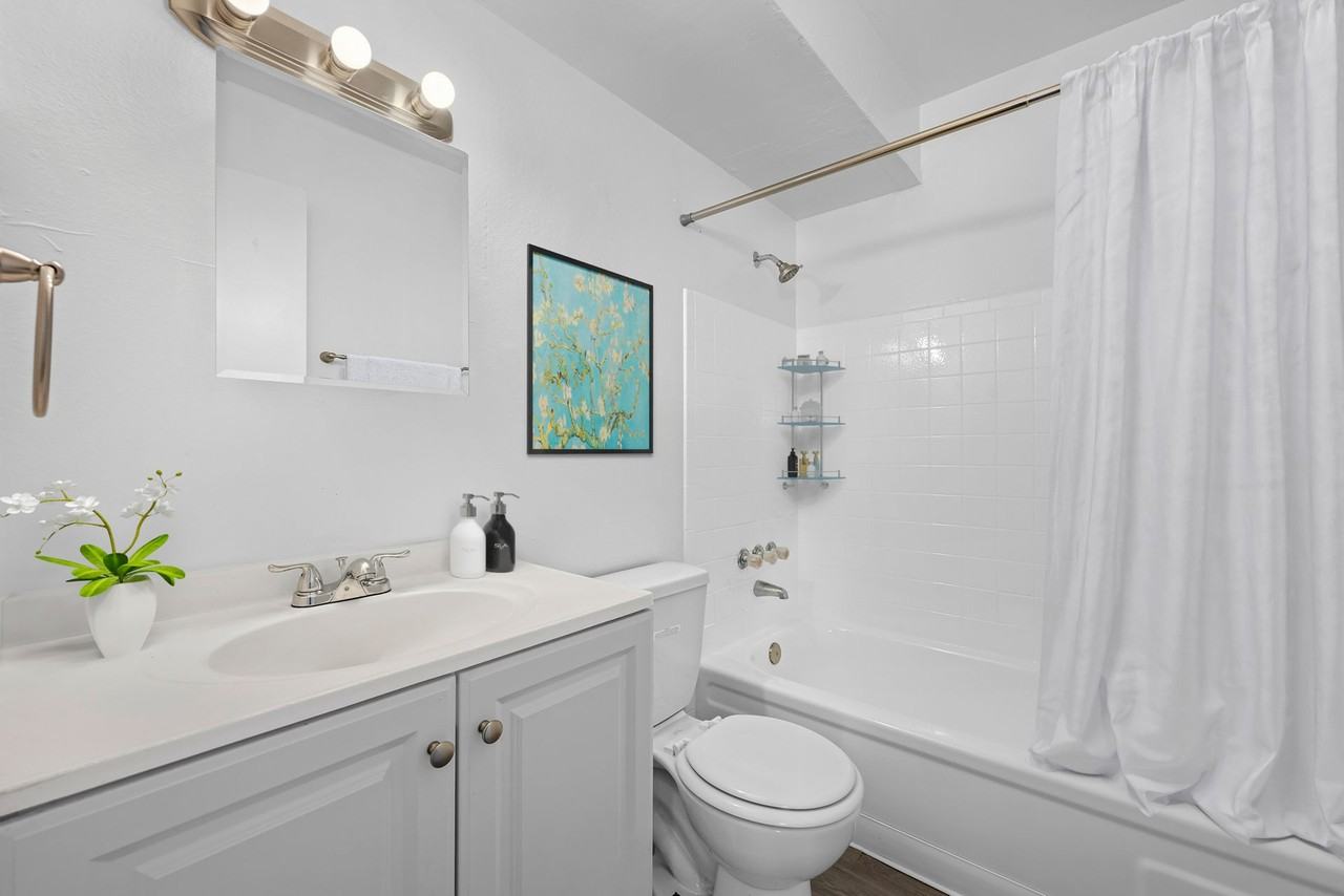 Amazing Renovated Apartments - Photo 3 of 15