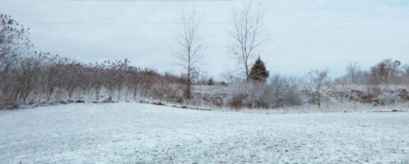 Cedar Sands - Photo 6 of 14