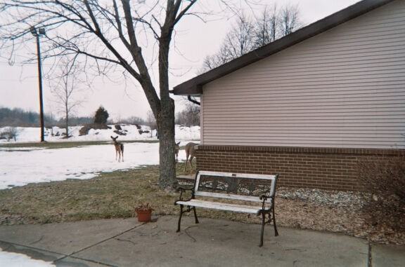 Cedar Sands - Photo 7 of 14