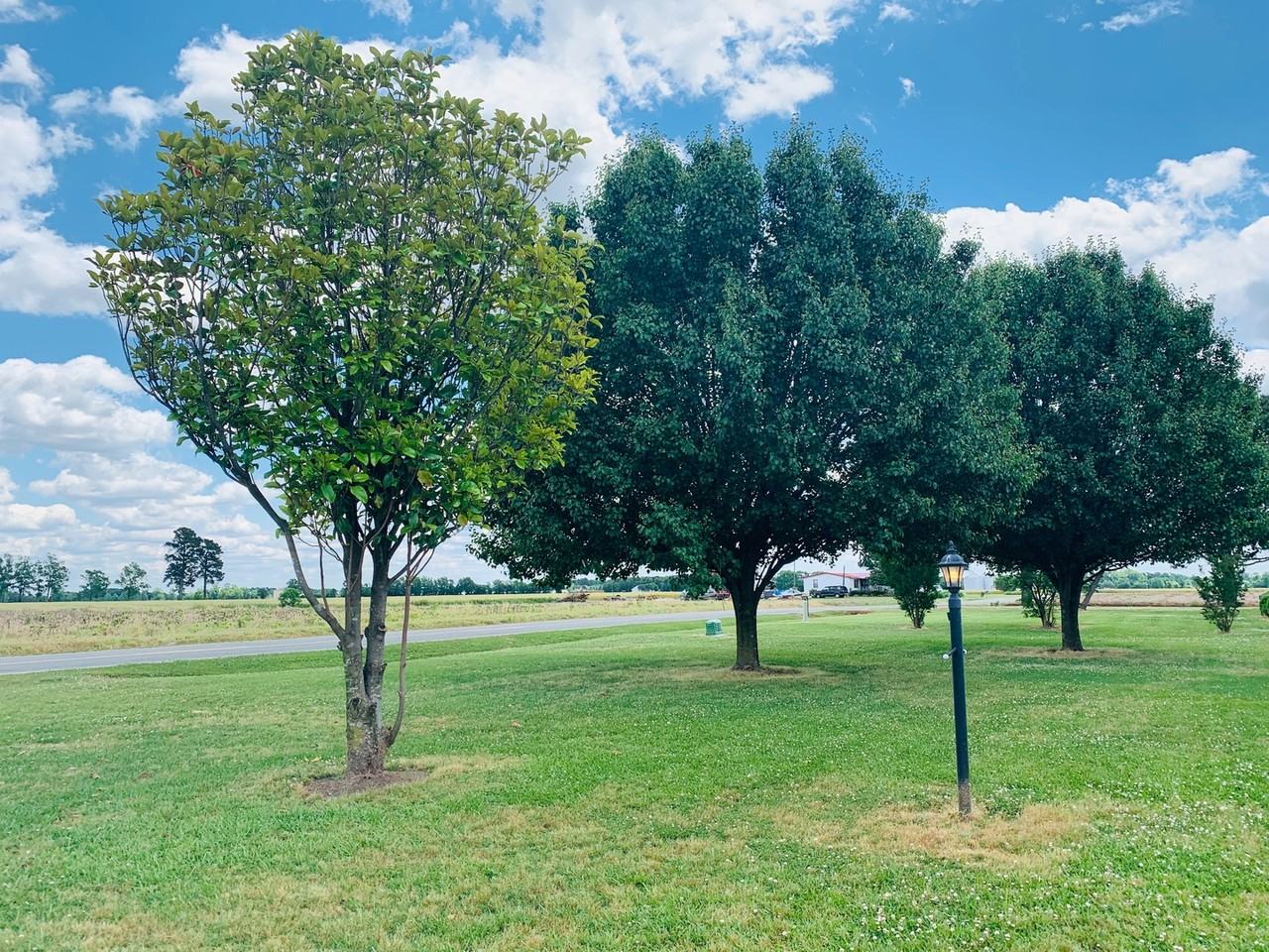 1286 Country Club Rd - Photo 3 of 32