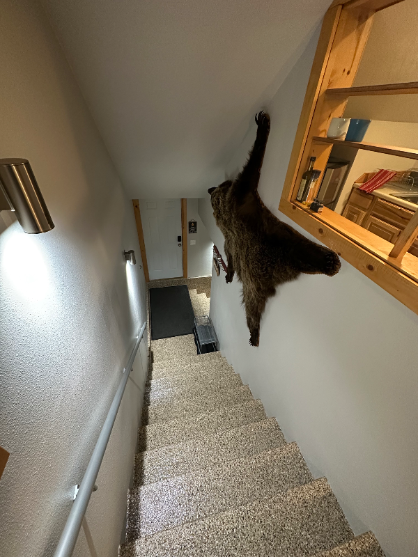 19439 Timberline Dr - Photo 4 of 13