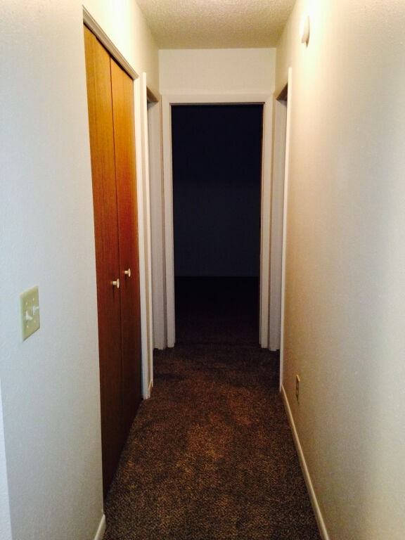 Aspen - Photo 3 of 5