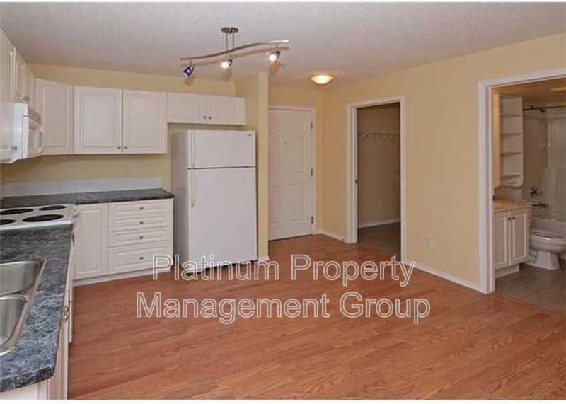 260 122 - Photo 5 of 11