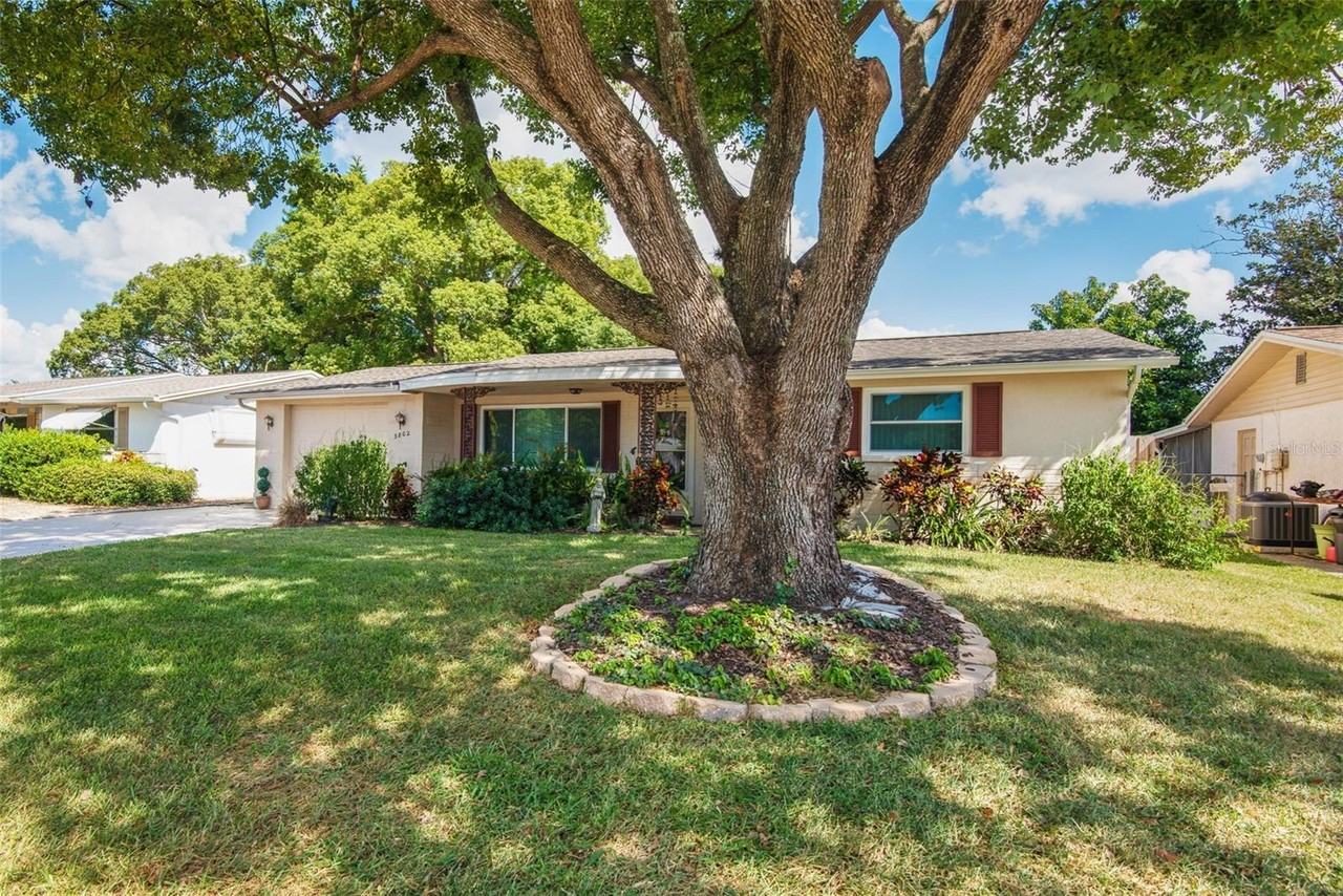 3802 Mynabird Dr - Photo 2 of 21