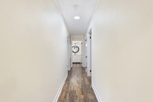 5 Random Oaks Cv #NA - Photo 1 of 1