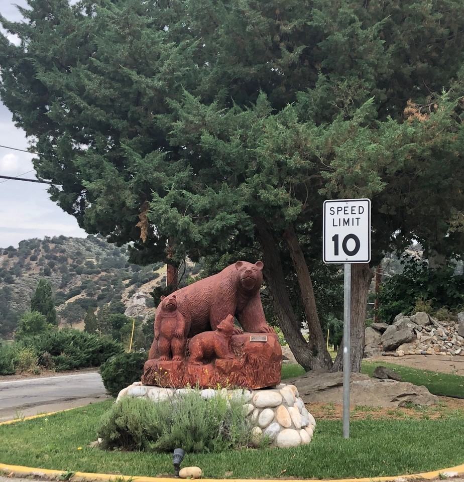 24440 Jacaranda Dr #NA - Photo 2 of 19