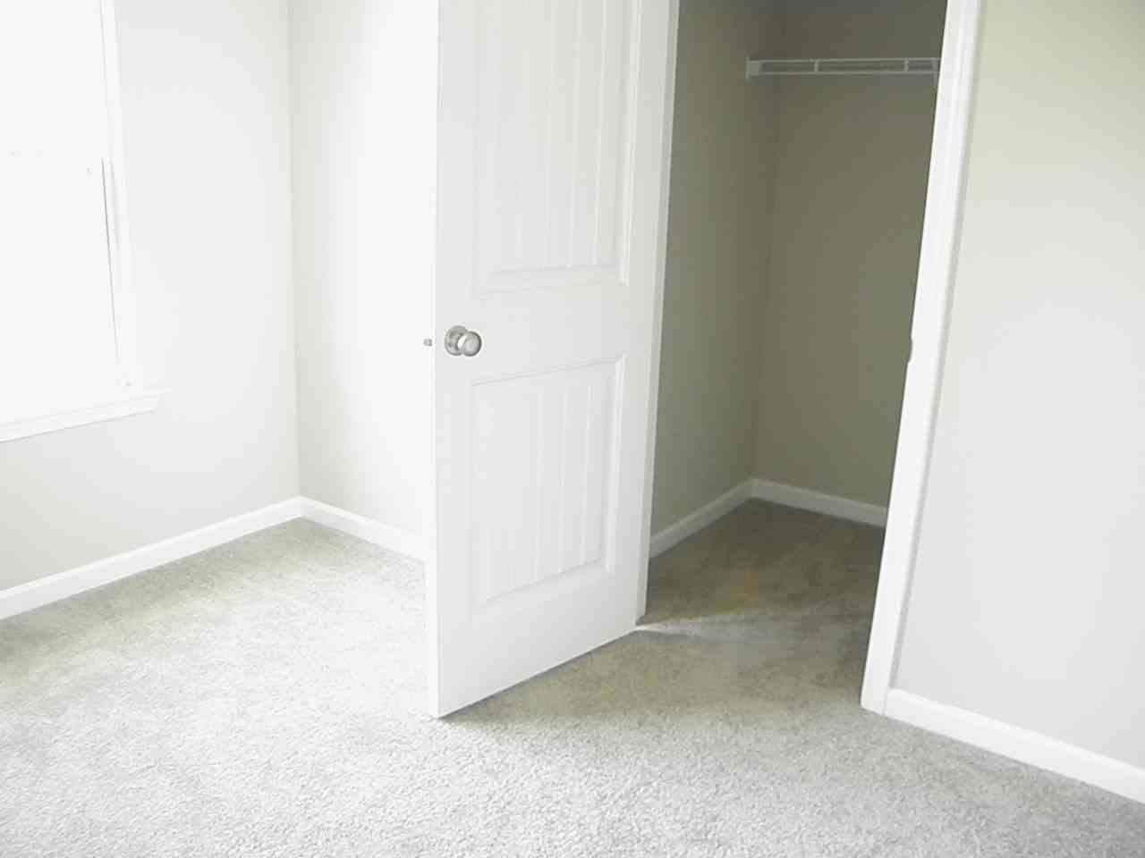 1243 Peacock Trail - Photo 3 of 20