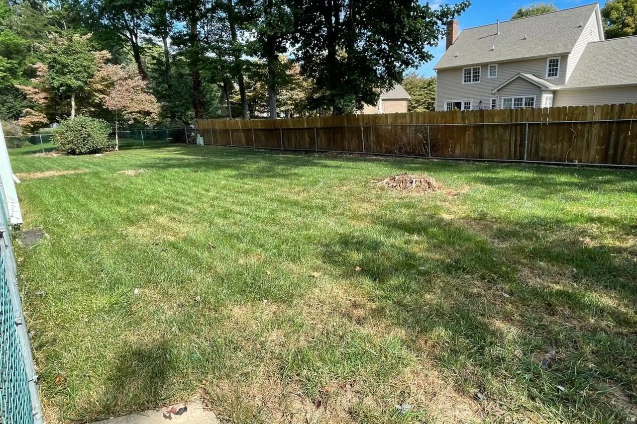 103 Avenue Of Trees - Photo 3 of 10