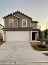 451 Forsythia - Photo 1 of 1