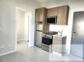 featured image of 4700 North Racine Avenue #214