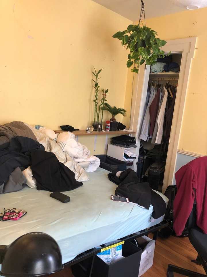 235 Dwight St - Photo 7 of 8