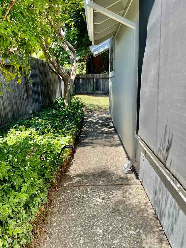 1412 Mother Lode Dr - Photo 3 of 24