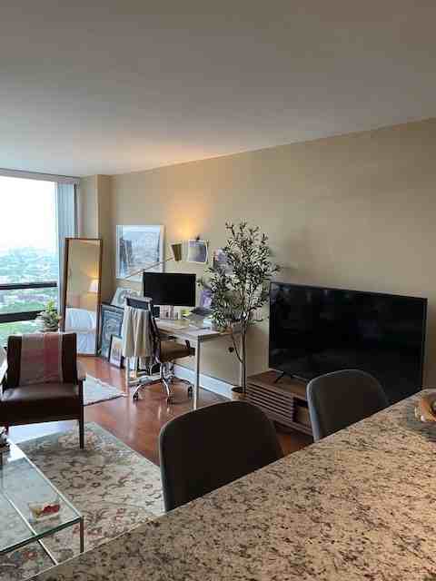 1636 N Wells St #3414 - Photo 4 of 12