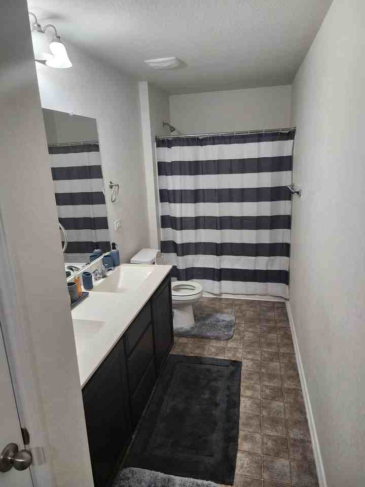 Copper Cv - Photo 3 of 19