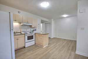 featured image of Gross Avea #A