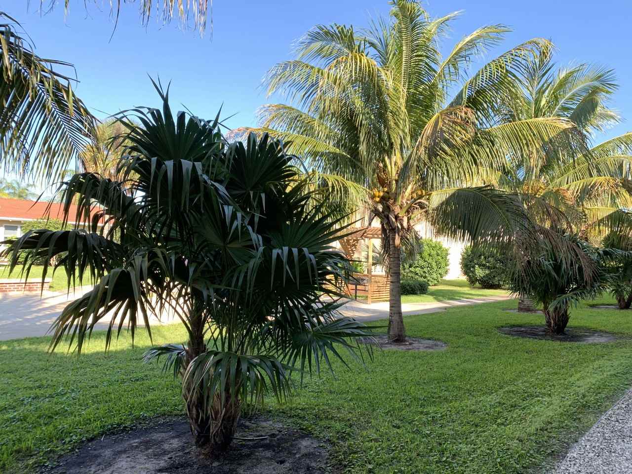 Cynthia Gardens - Photo 4 of 8