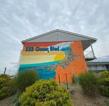 333 Ocean Blvd - Photo 1 of 1