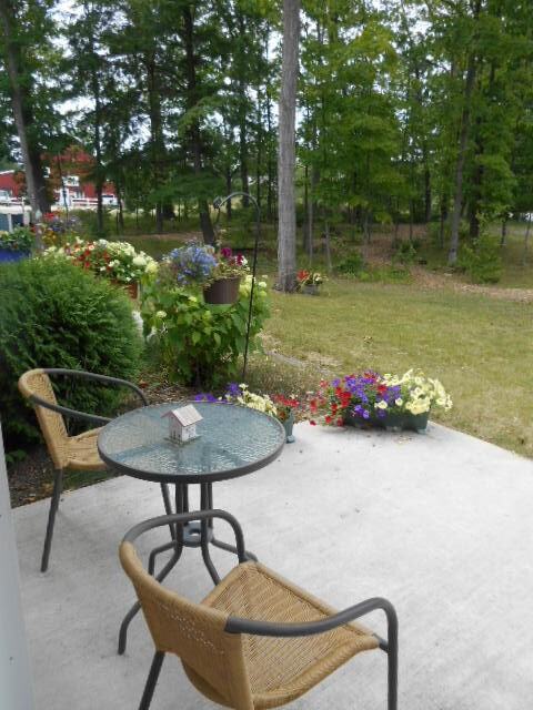 Forest View - Photo 2 of 12