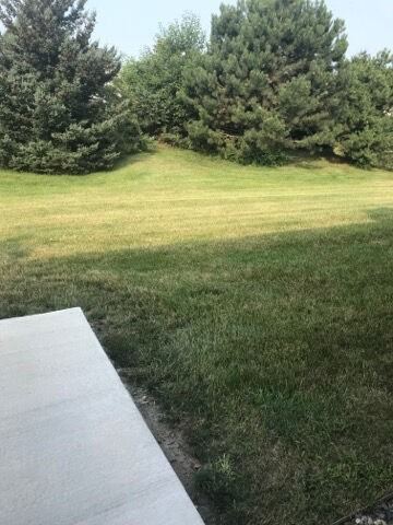 Greenwood - Photo 4 of 6