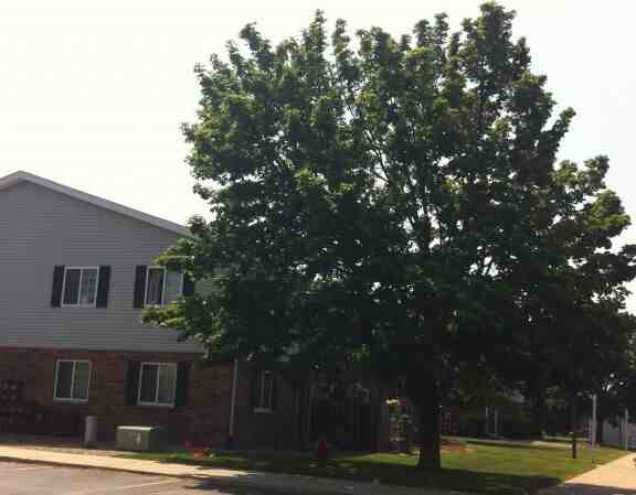 Heritage Village II - Photo 7 of 8