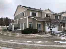 featured image of 1980 Pika Trl