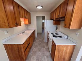 Trinit - Photo 1 of 1