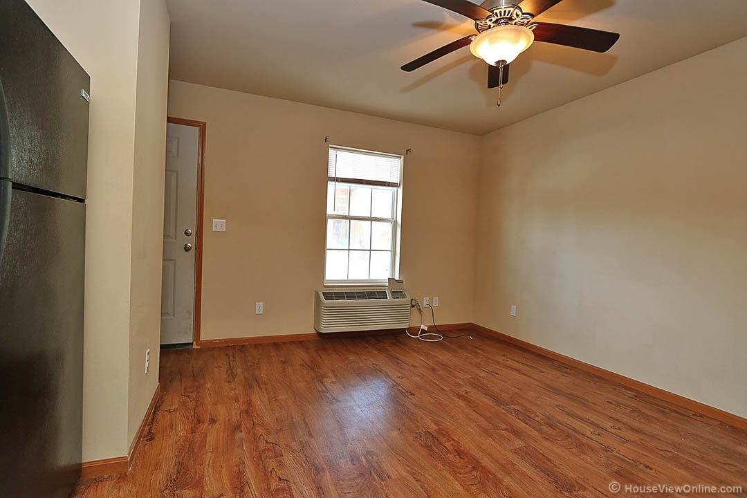 Olive 547 - Photo 3 of 10